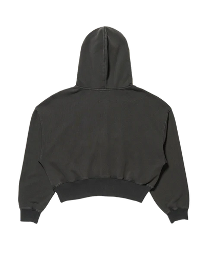 Limited Kats Collab Collection